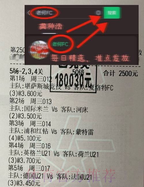 全面解析世界杯下注平台用户评价与推荐